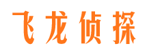 冷湖侦探公司